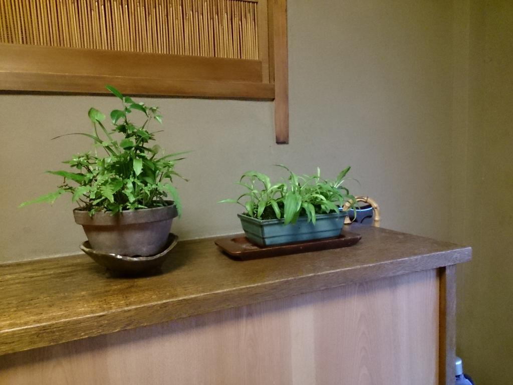 Ryokan Nakajimaya Kyoto Extérieur photo